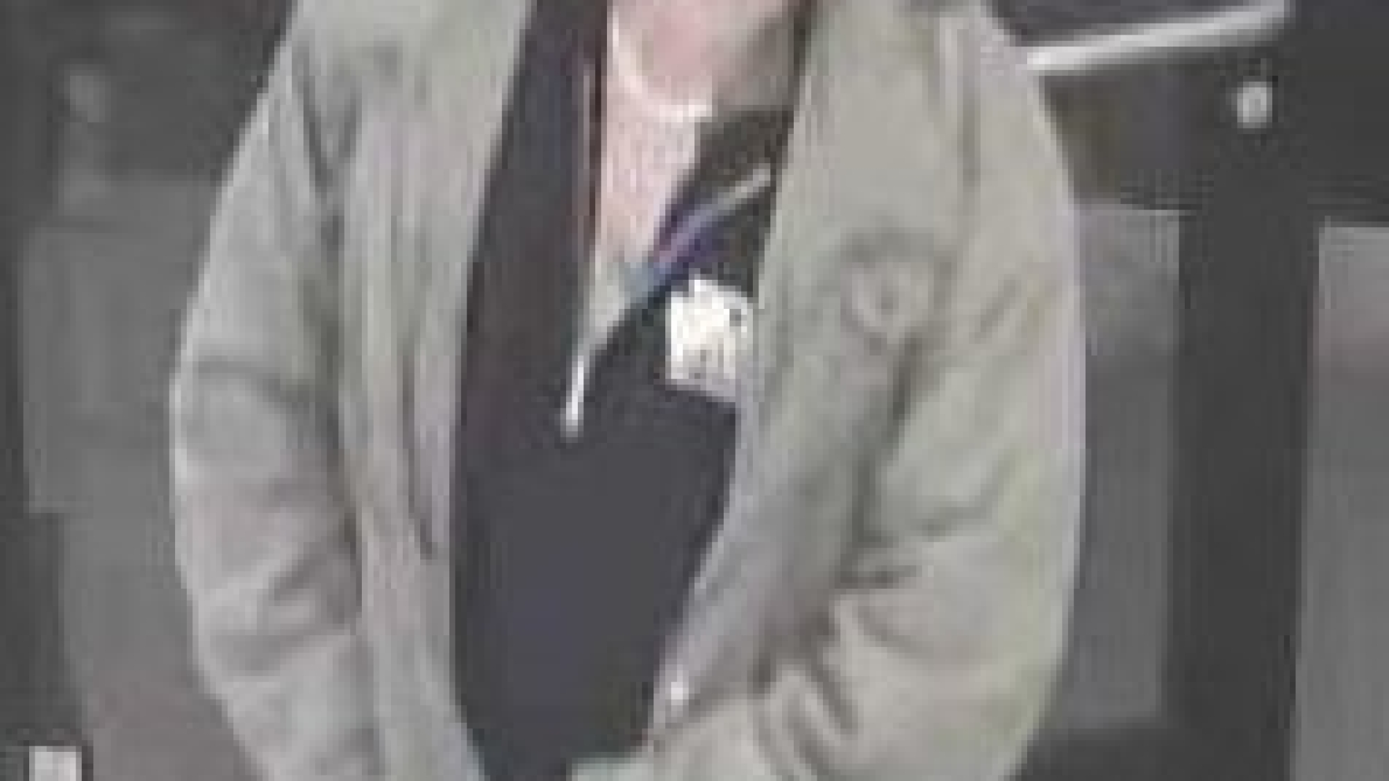 grab-and-run-suspect