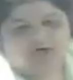 Video: Professional Thieves