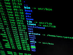 Department Stores Face Cyber-Enabled Theft