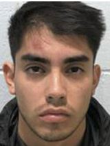 Dozens of Chilean ‘Tourists’ Implicated in California burglaries