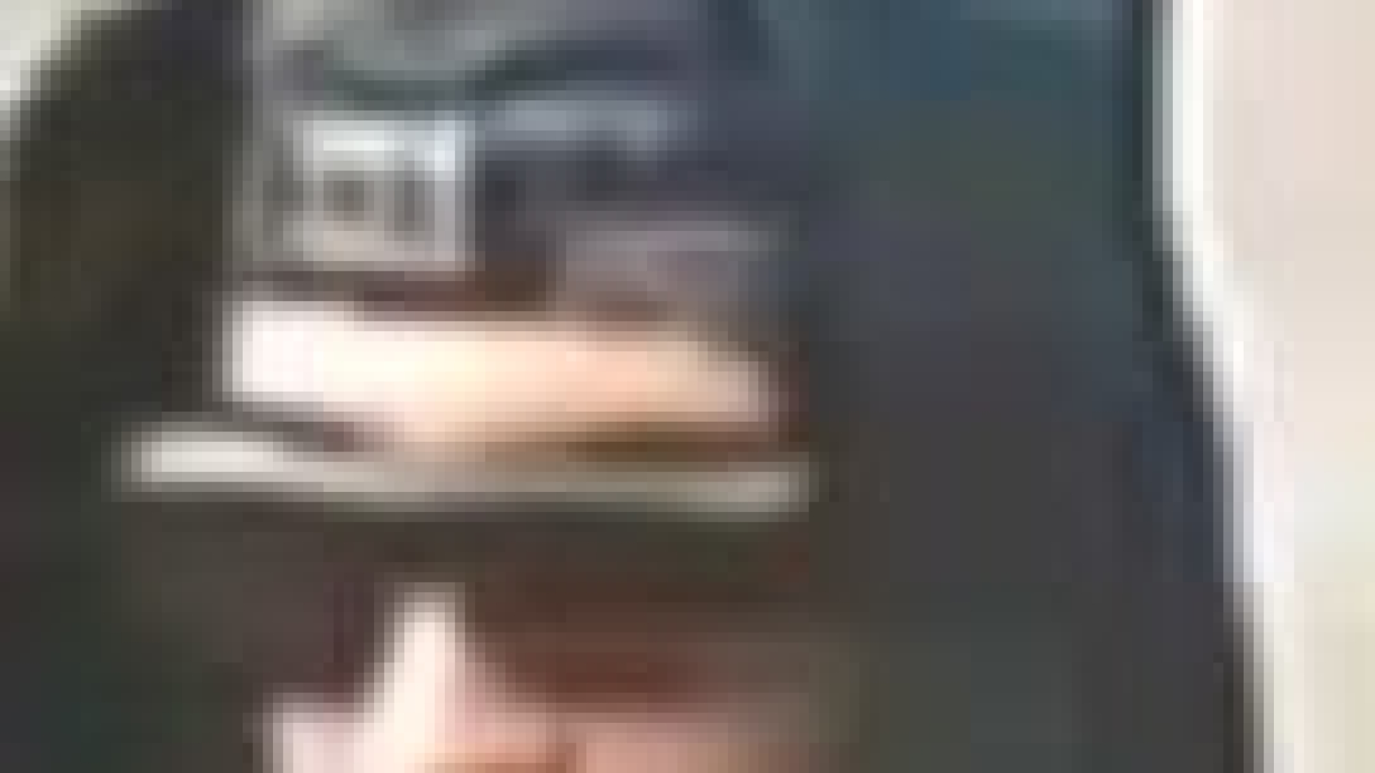 Image of Queens robbery subject