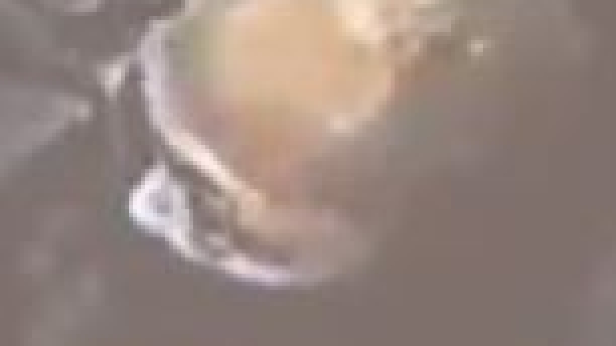 San Jose Robbery Subject