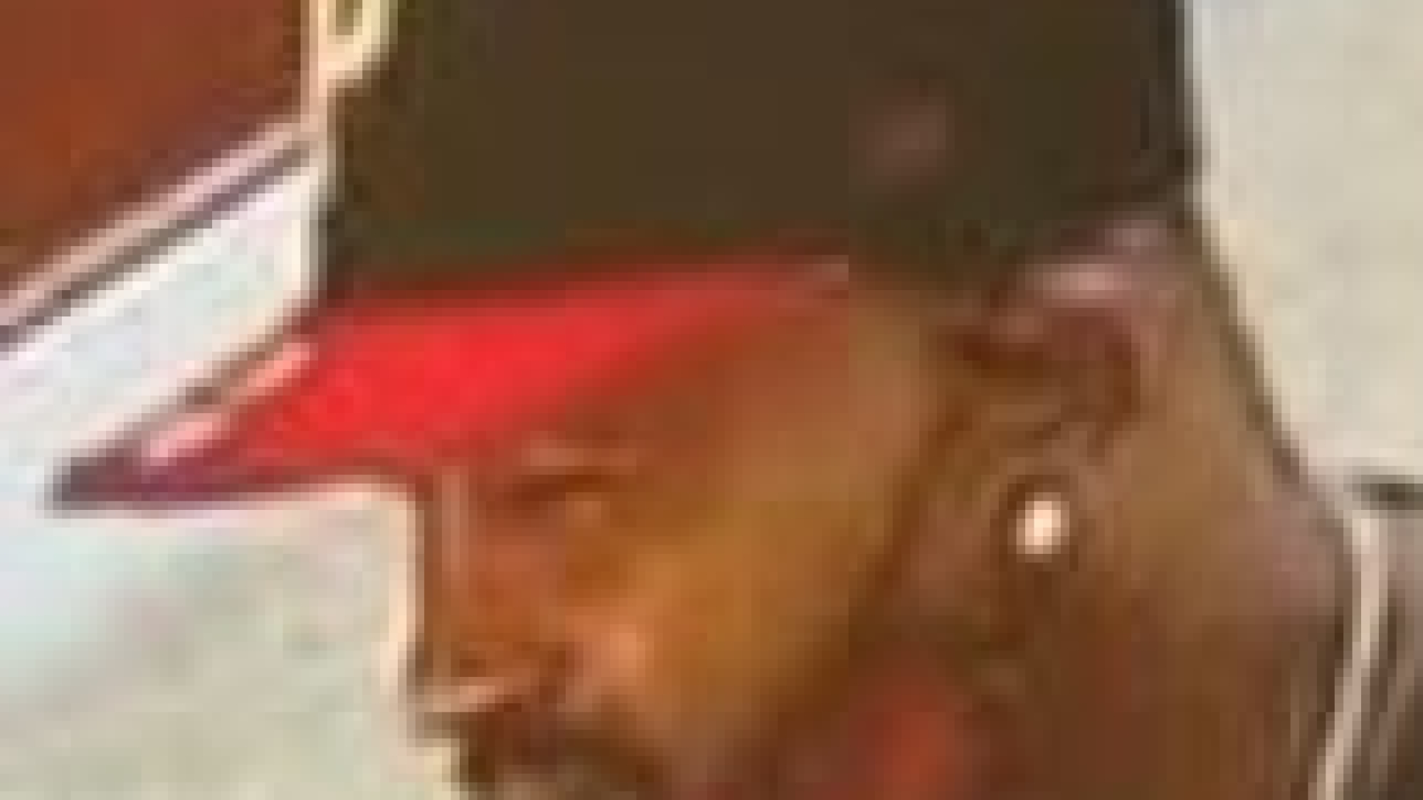 Bastrop , LA Burglary Subject's face