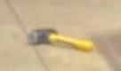 Yellow hammer