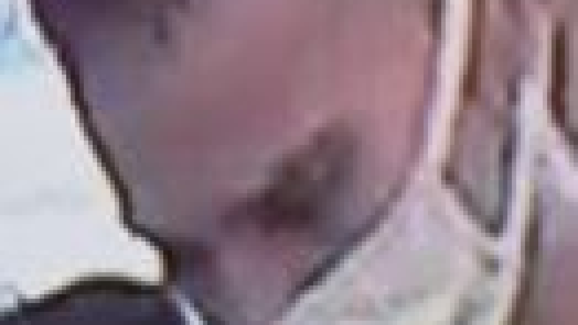 Roanoke Jewelry Thief's Face