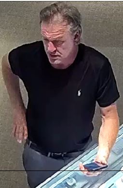 Roseville Theft Subject Image 1