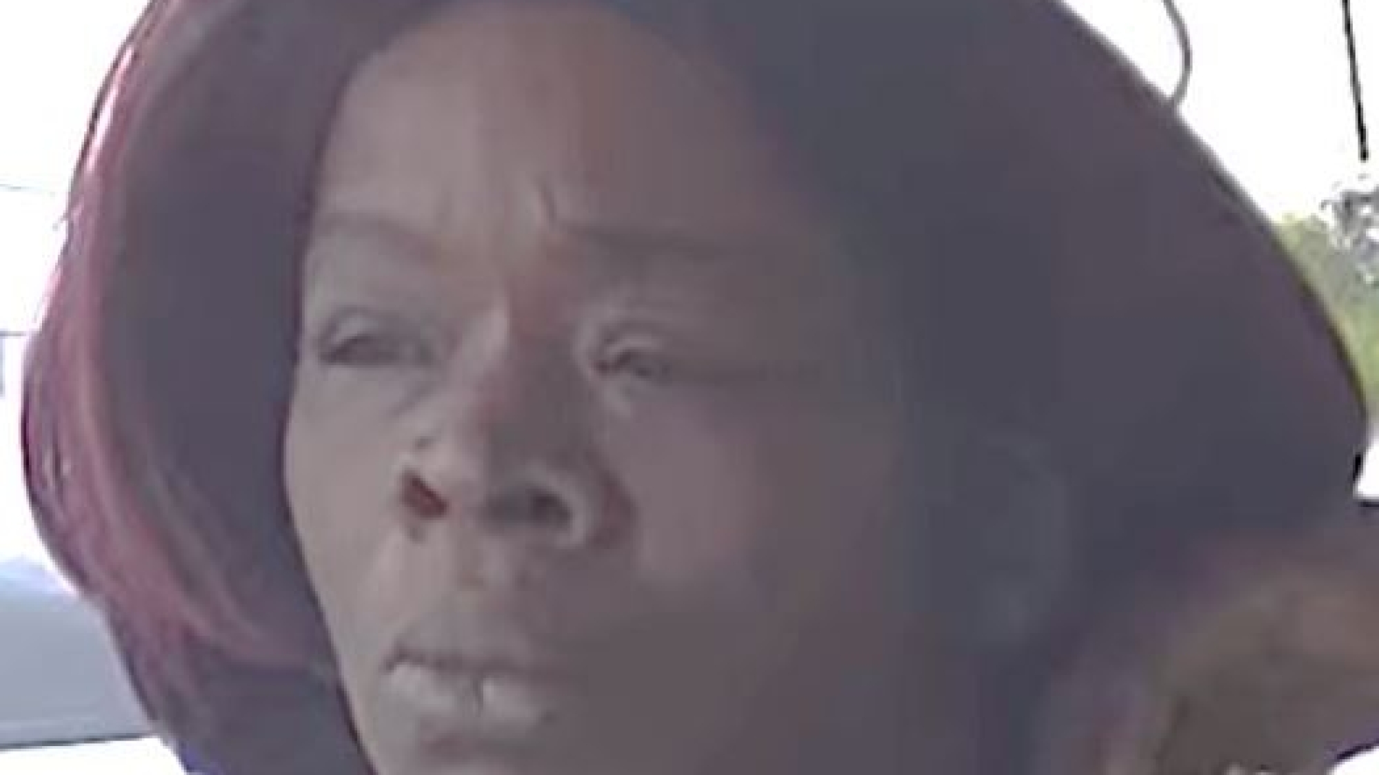 Tampa Robbery Subject