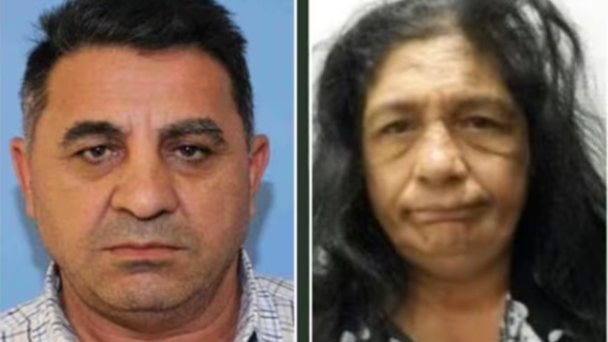 Wanted Theft Suspects