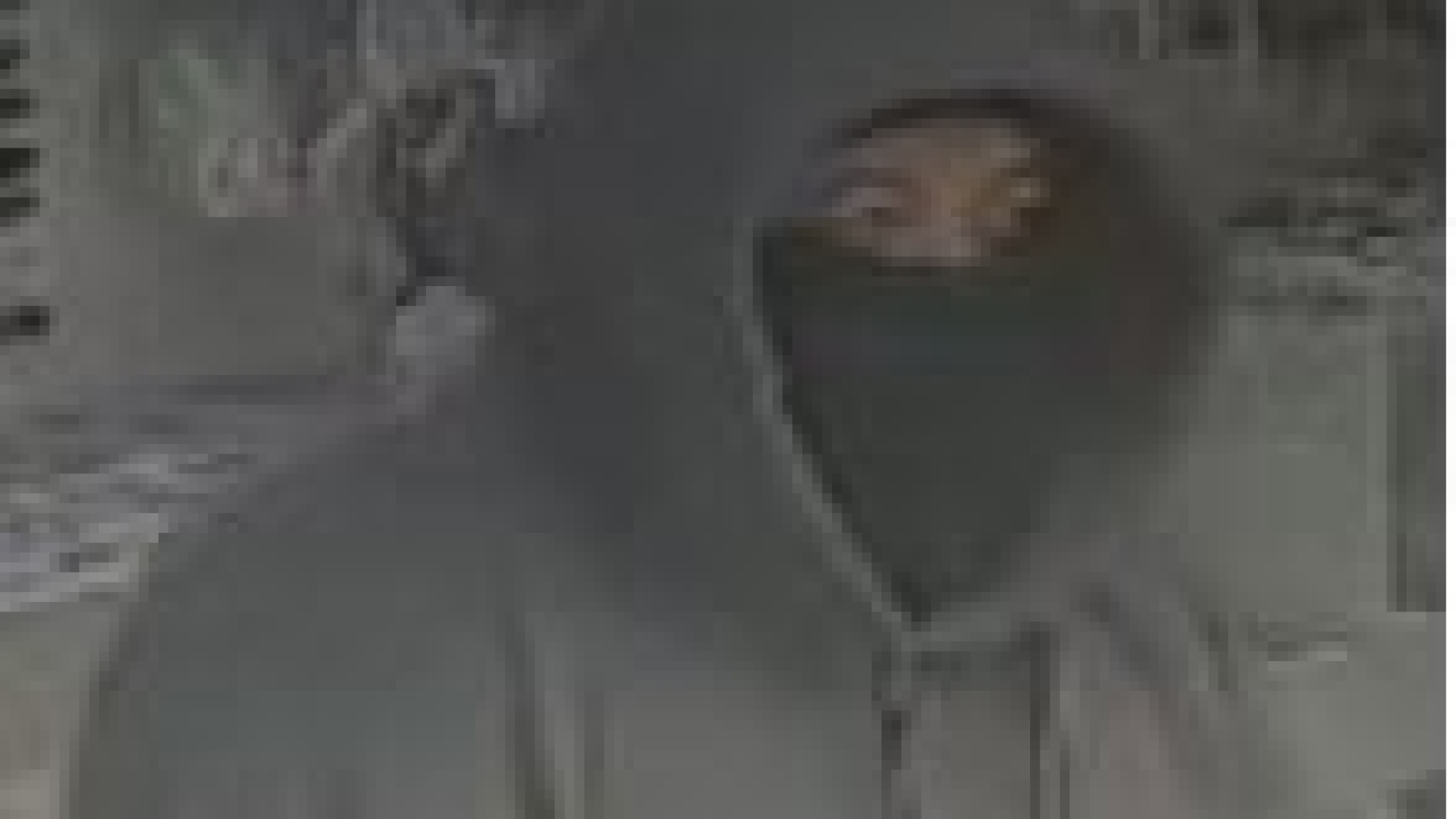 Smash & Grab Robber - Los Angeles, CA - Image of Face